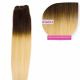 Dieses Bild zeigt die GlamXtensions Weft Extensions Haarverlängerung in der Farbe #1b/613 Naturschwarz - Helllichtblond in Großansicht. Die echthaar Tressen Extensions sind in vielen verschiedenen Farben erhältlich.
